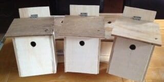 Bird-Boxes-Gîte-Finistere