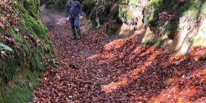 Autumn walk in Huelgoat forest